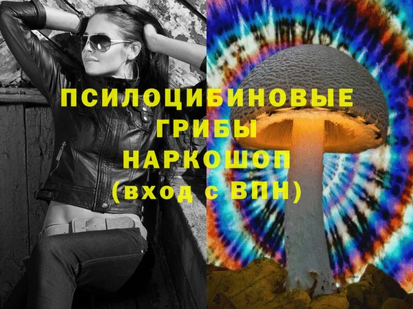 сатива Снежногорск