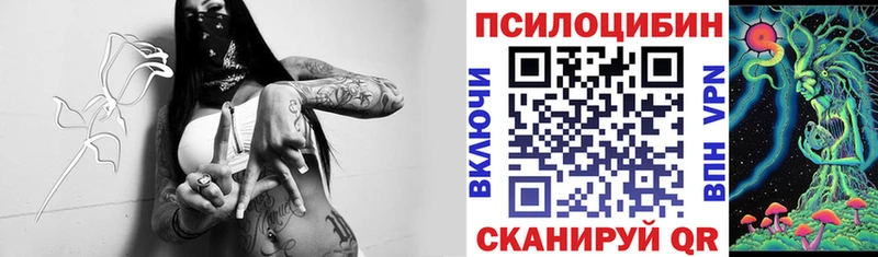Псилоцибиновые грибы Magic Shrooms Клинцы